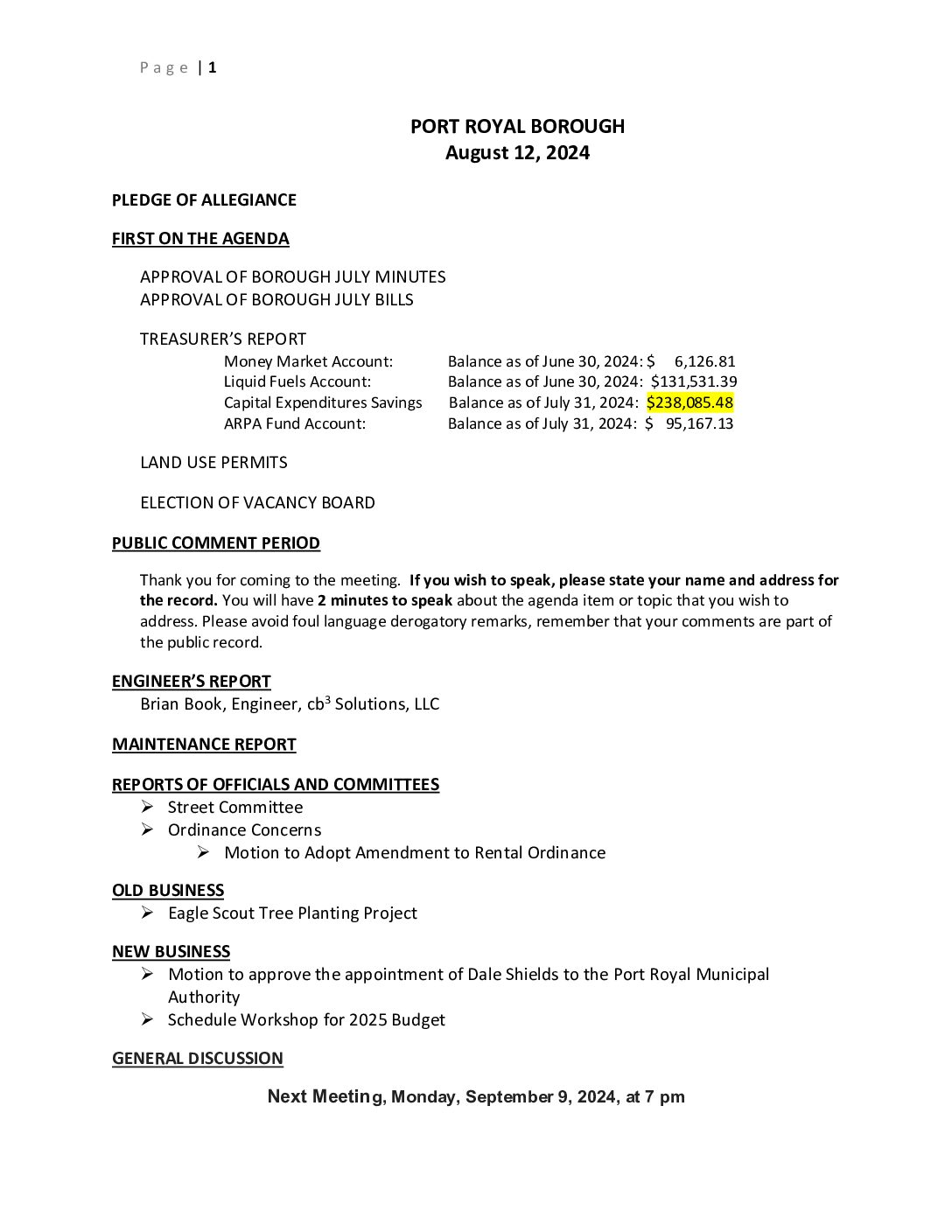 Thumbnail of the first page of 'Council Agenda – August 9th, 2024'