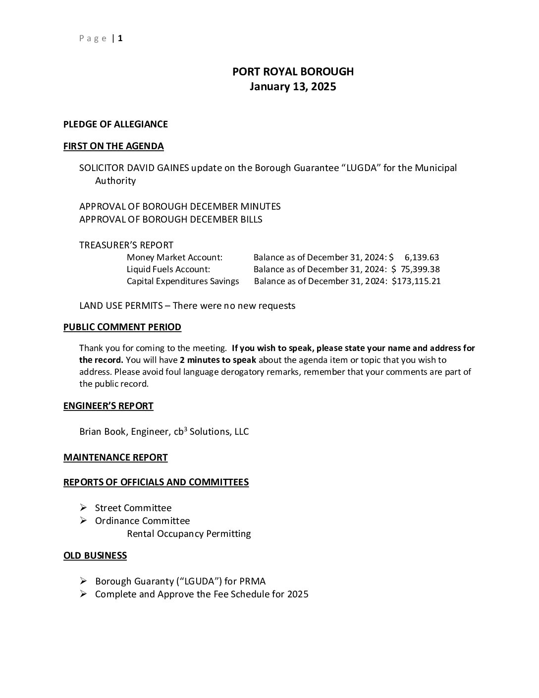 Thumbnail of the first page of 'Council Agenda – January 12th, 2025'